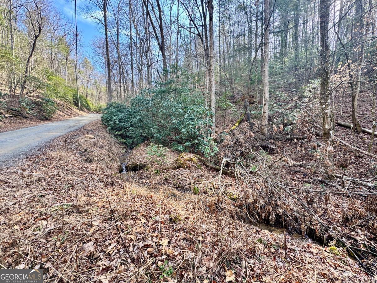 L53 Amy Creek Circle Ellijay GA 30540