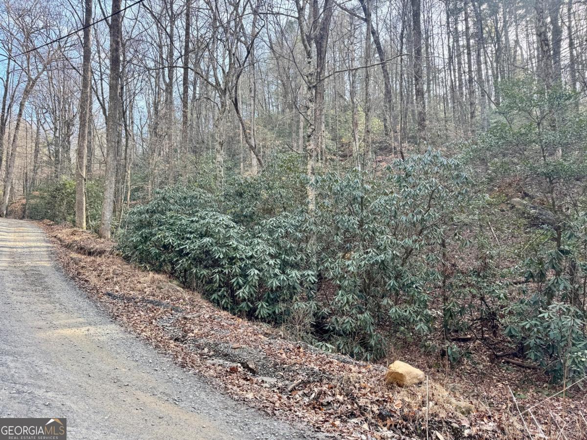 L53 Amy Creek Circle Ellijay GA 30540