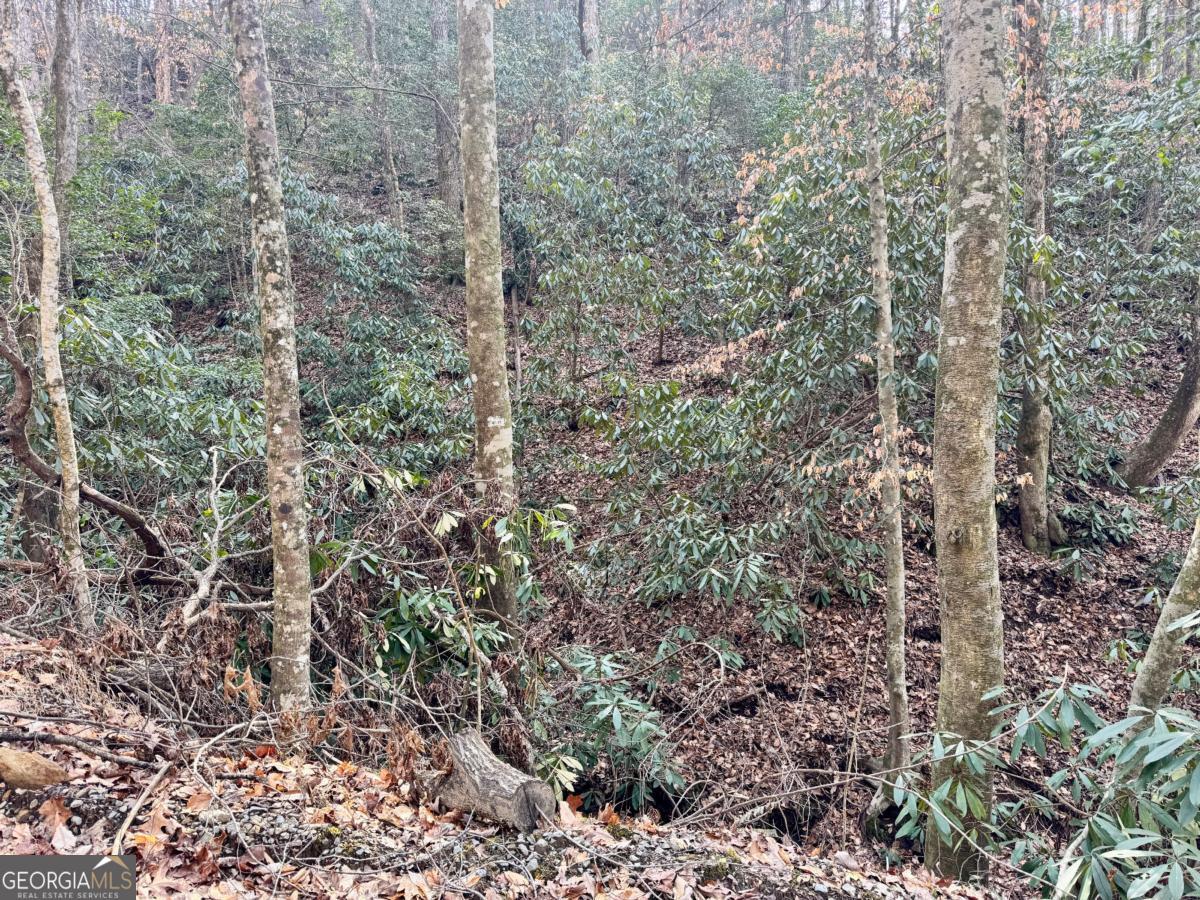 L53 Amy Creek Circle Ellijay GA 30540
