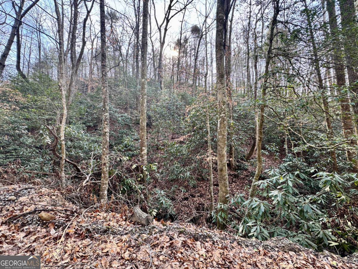 L53 Amy Creek Circle Ellijay GA 30540