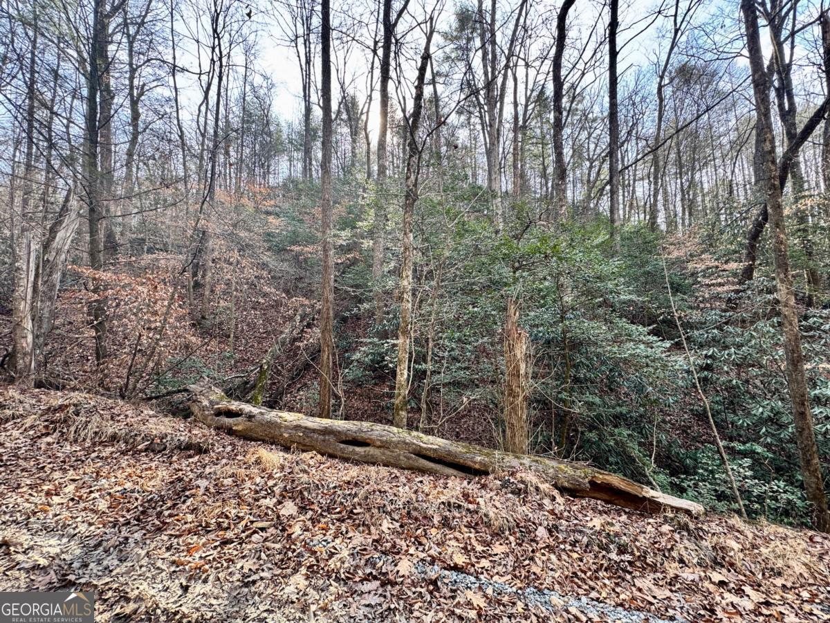 L53 Amy Creek Circle Ellijay GA 30540