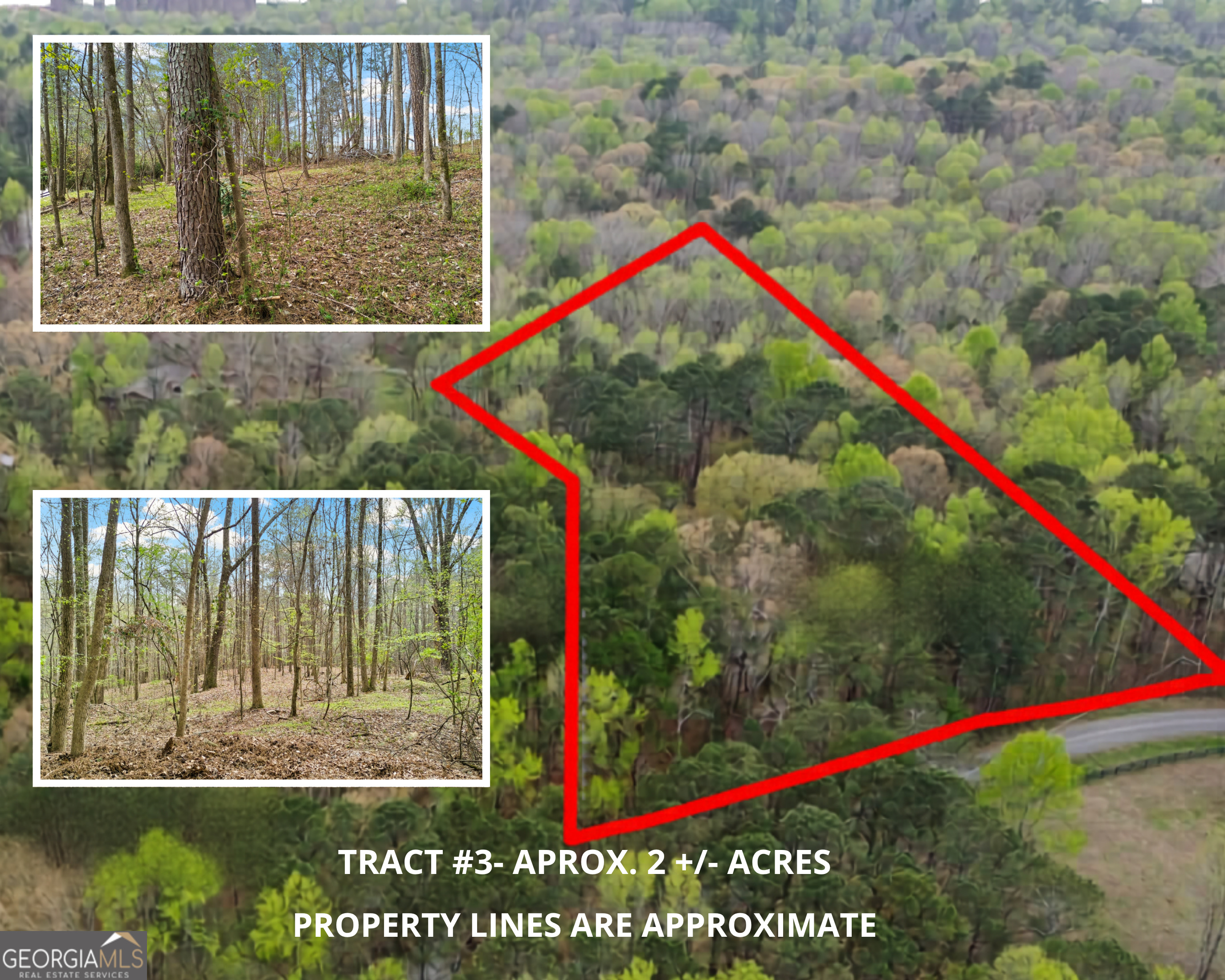 389 N Lake Drive Canton GA 30115