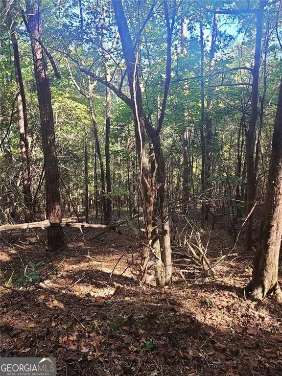 700 Gadsden Road SW Cave Spring GA 30124