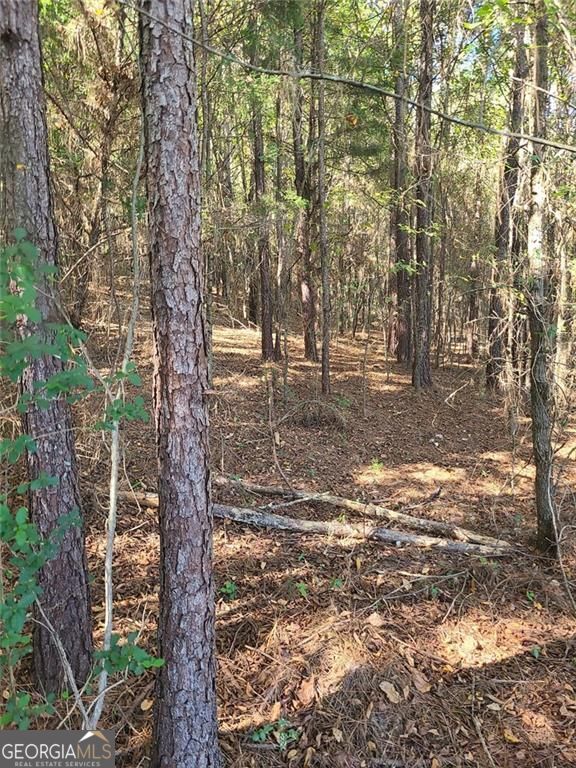 700 Gadsden Road SW Cave Spring GA 30124