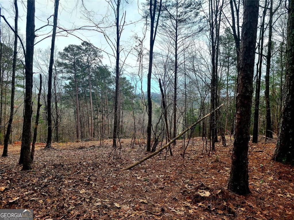 700 Gadsden Road SW Cave Spring GA 30124