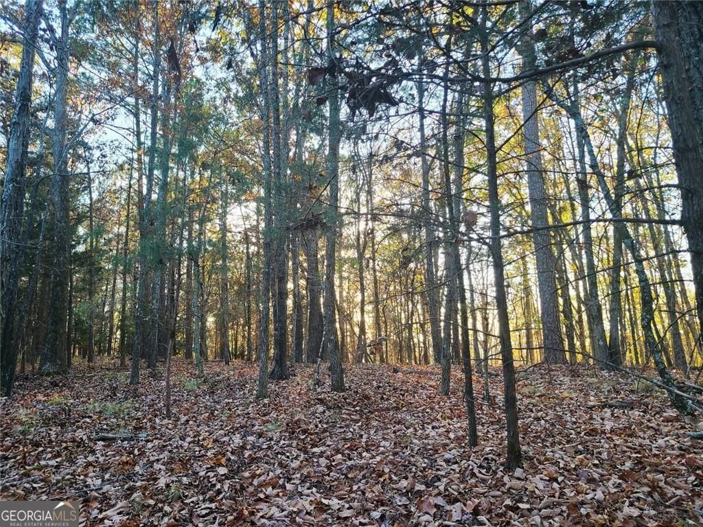 700 Gadsden Road SW Cave Spring GA 30124