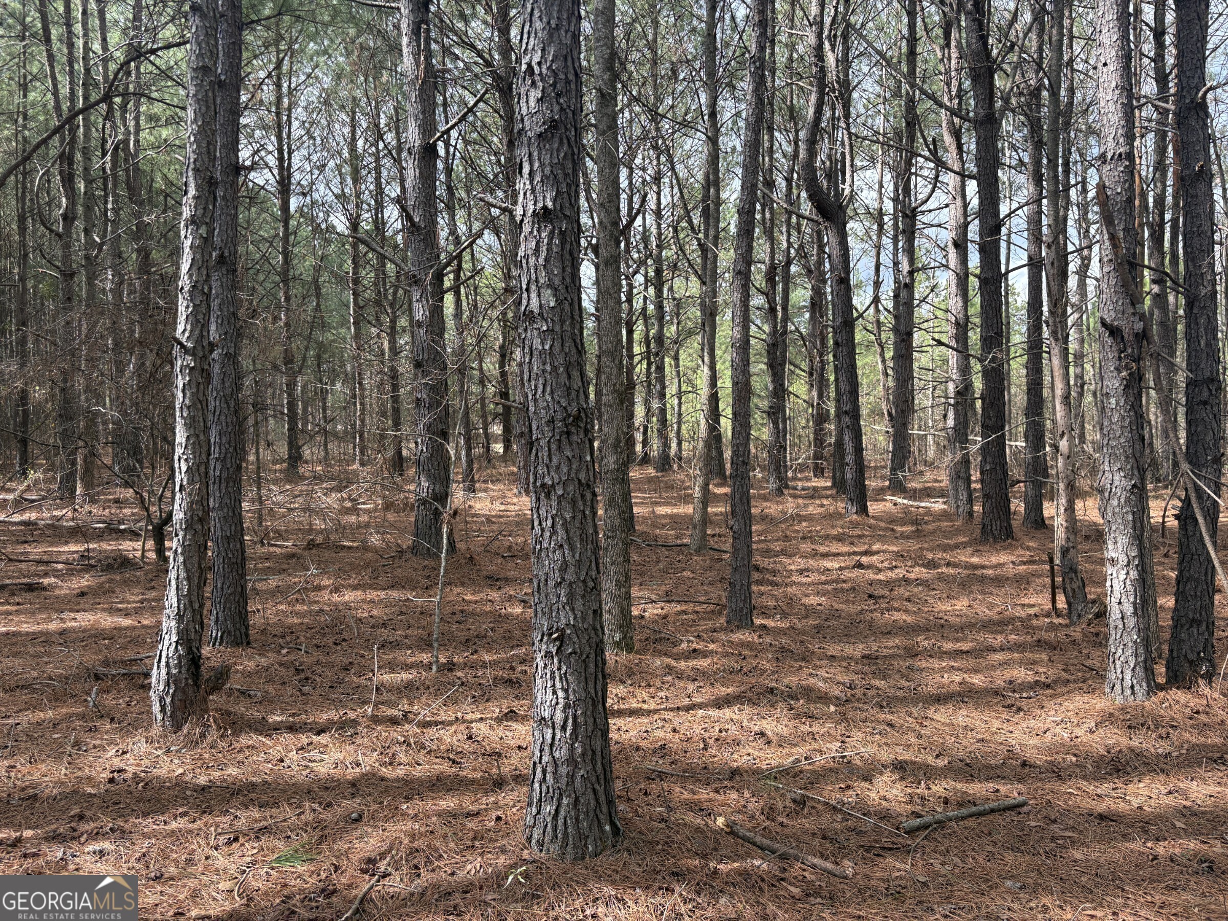 L2&3 Keysville-boggs Academy Road Keysville GA 30816