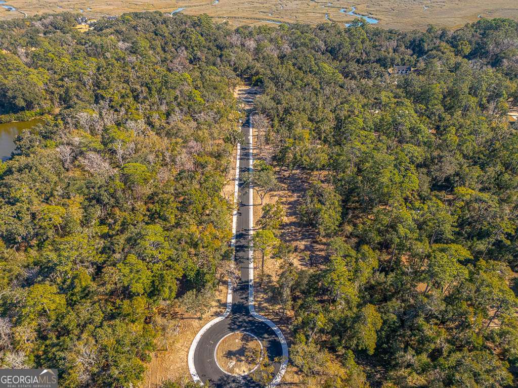 125 Canopy Lane St. Simons Island GA 31522