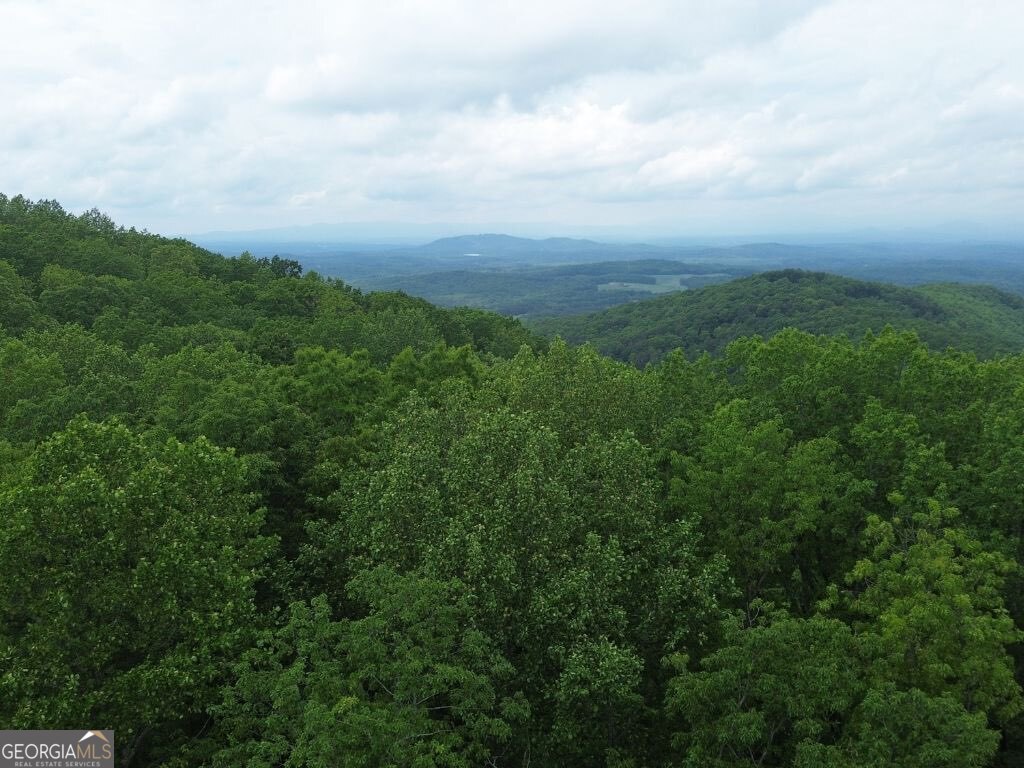 41 High Summit Drive Talking Rock GA 30175