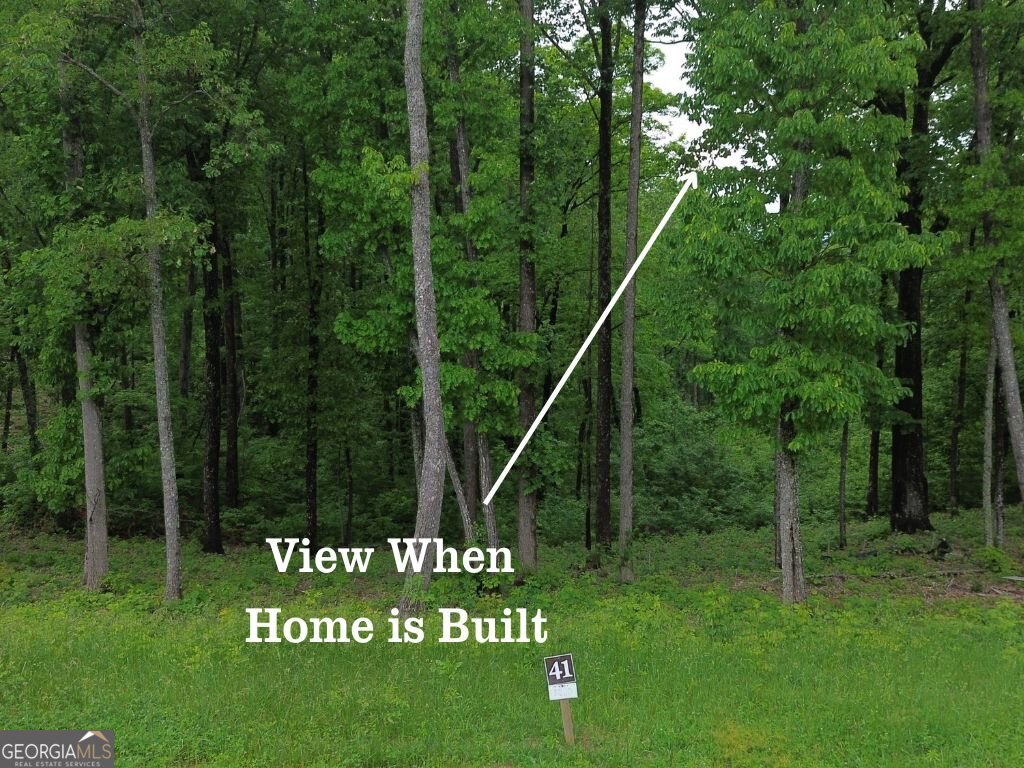 41 High Summit Drive Talking Rock GA 30175
