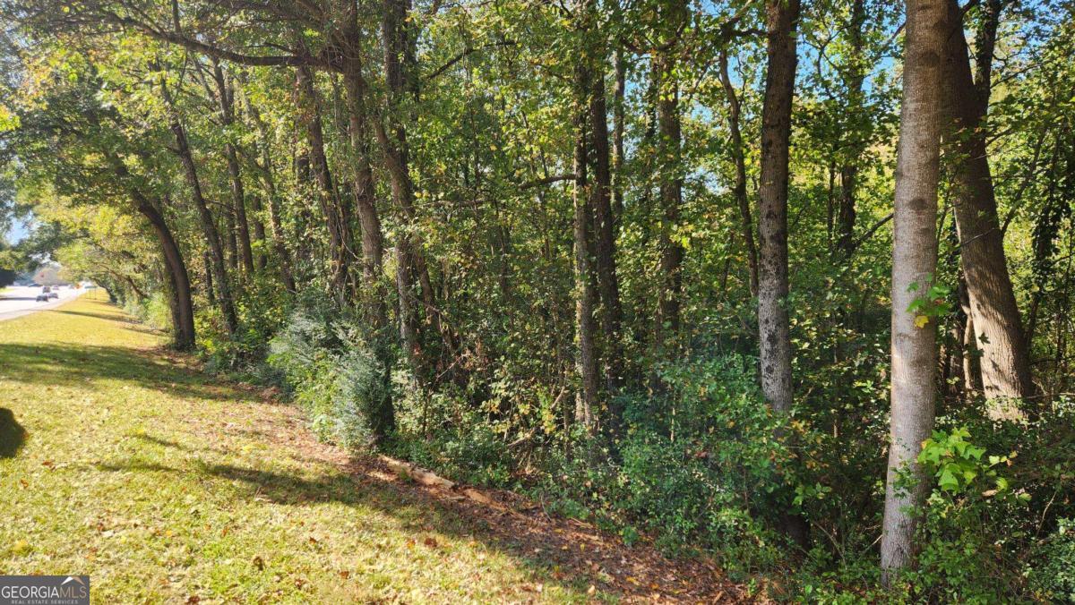 0 Bullsboro Drive Newnan GA 30265