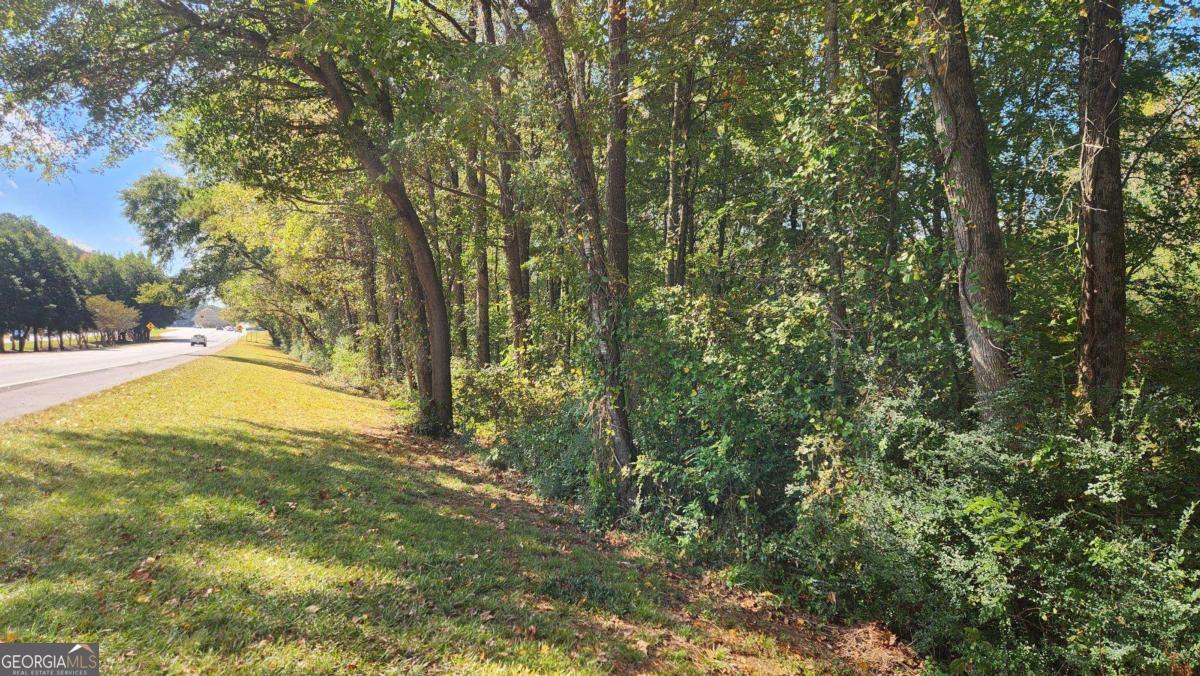 0 Bullsboro Drive Newnan GA 30265
