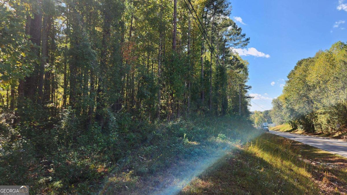 0 Bullsboro Drive Newnan GA 30265