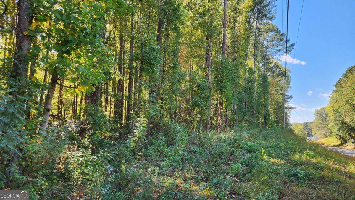 0 Bullsboro Drive Newnan GA 30265