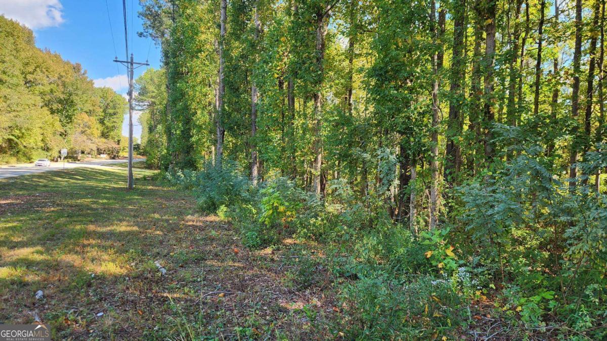 0 Bullsboro Drive Newnan GA 30265