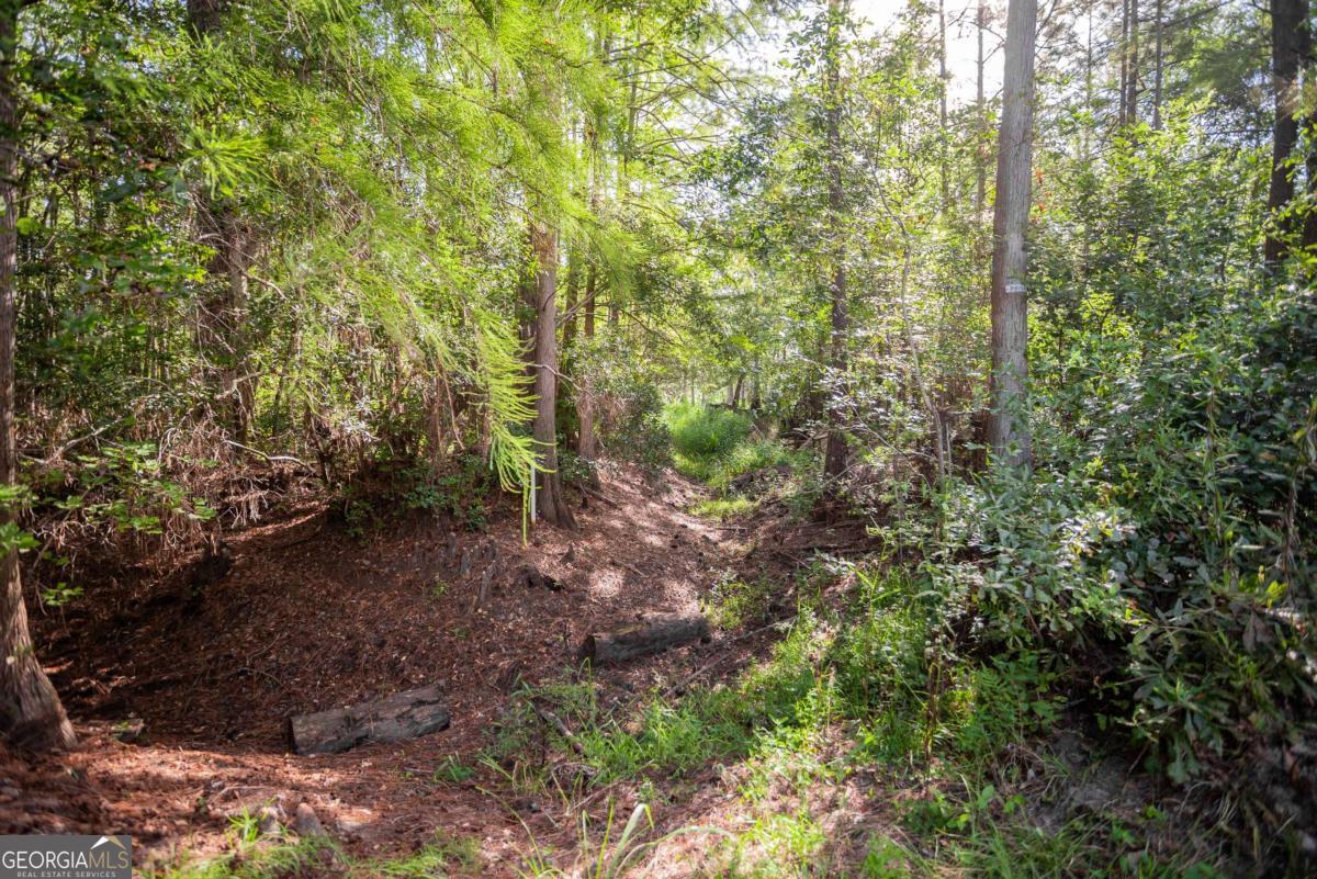 188 Brenda Road Portal GA 30450