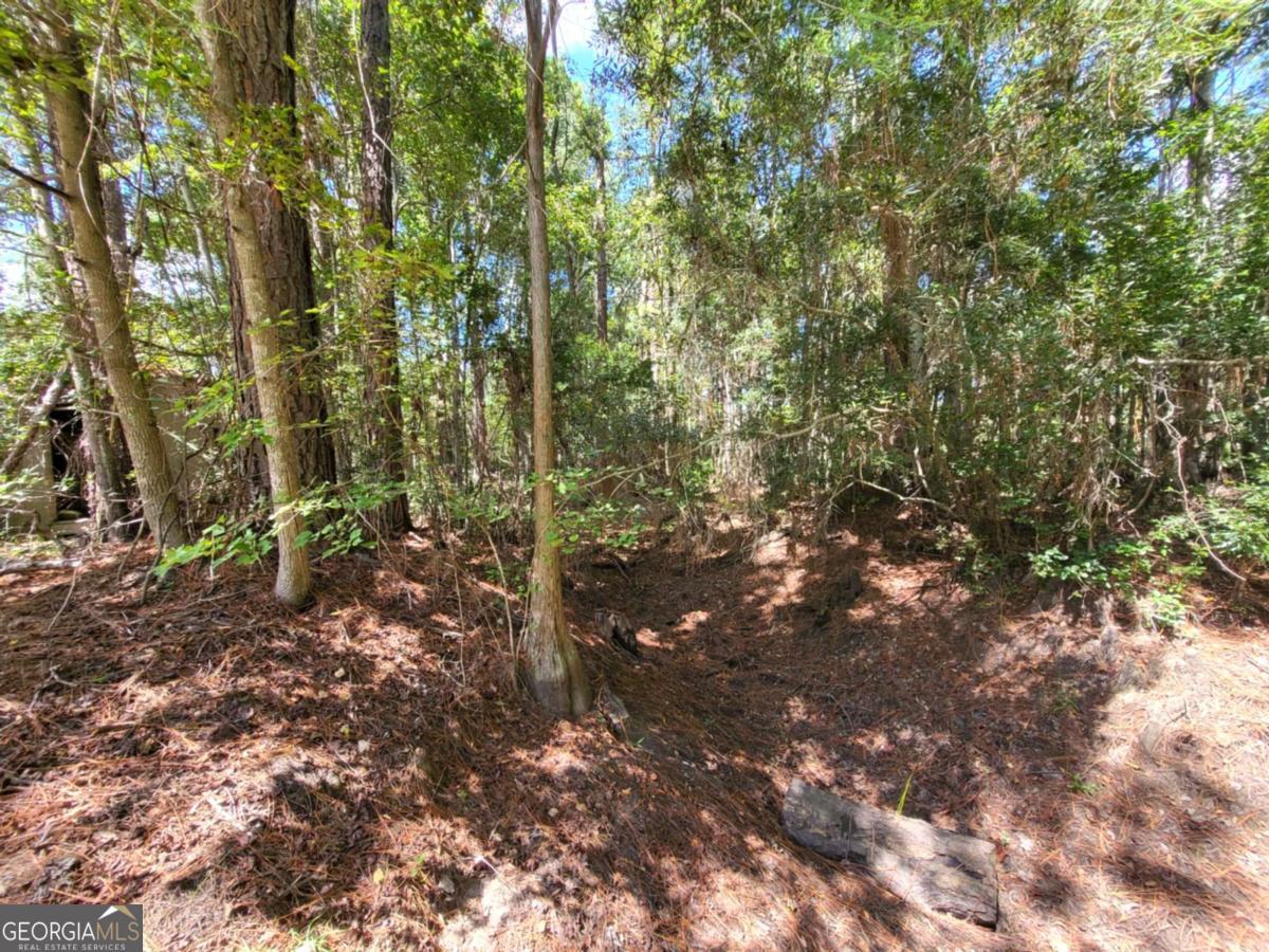 188 Brenda Road Portal GA 30450