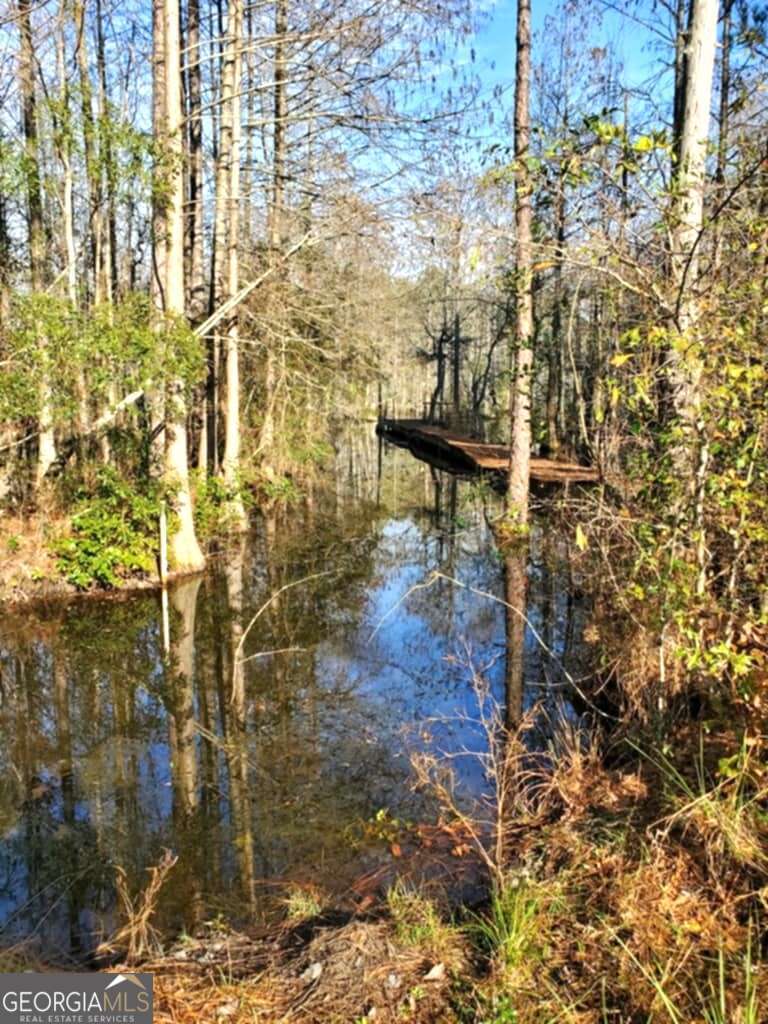 188 Brenda Road Portal GA 30450