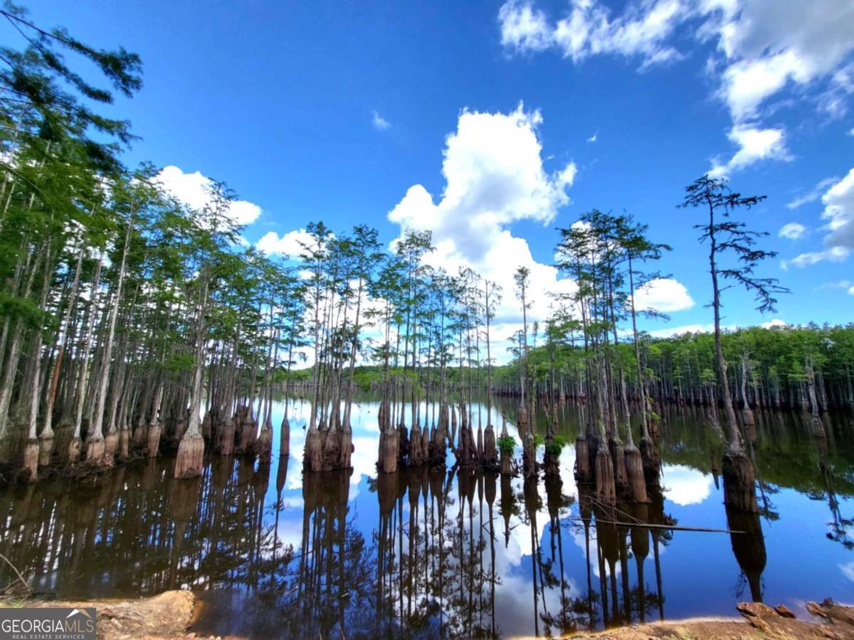 188 Brenda Road Portal GA 30450