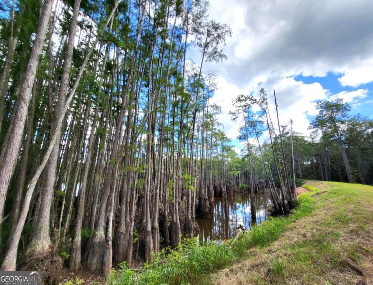 188 Brenda Road Portal GA 30450