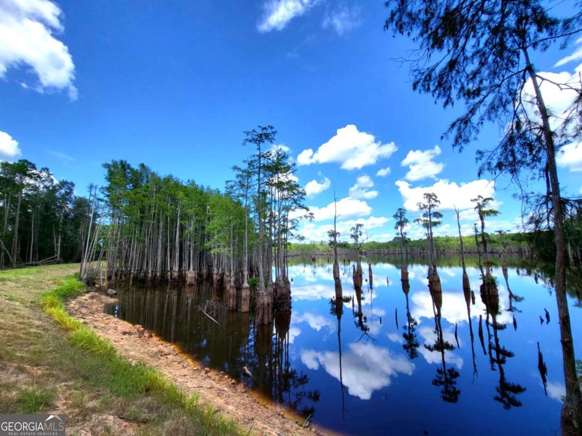 188 Brenda Road Portal GA 30450