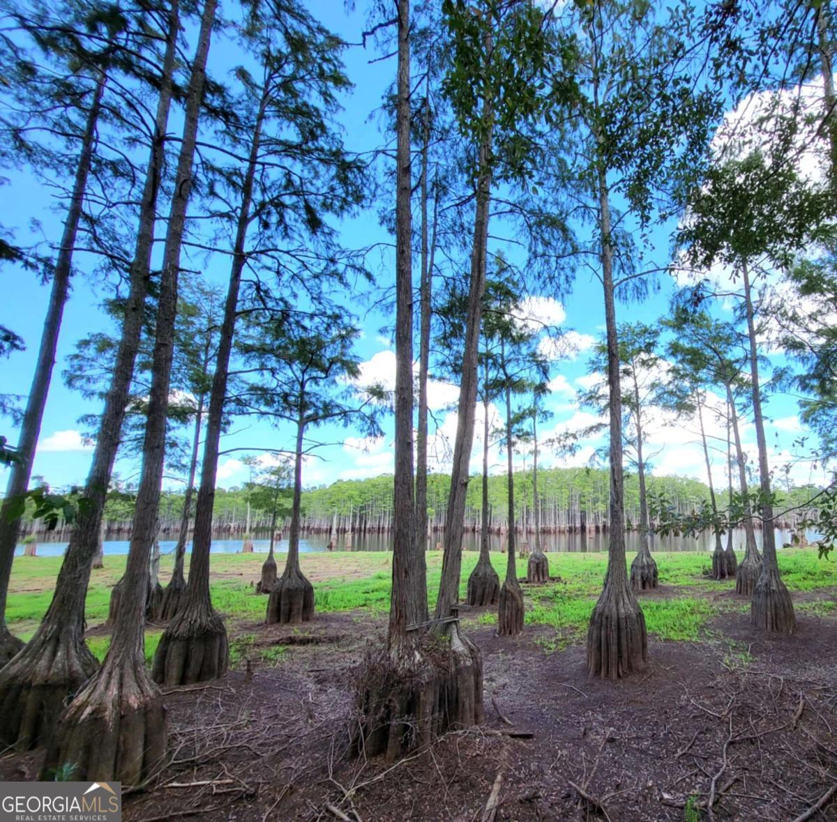 188 Brenda Road Portal GA 30450