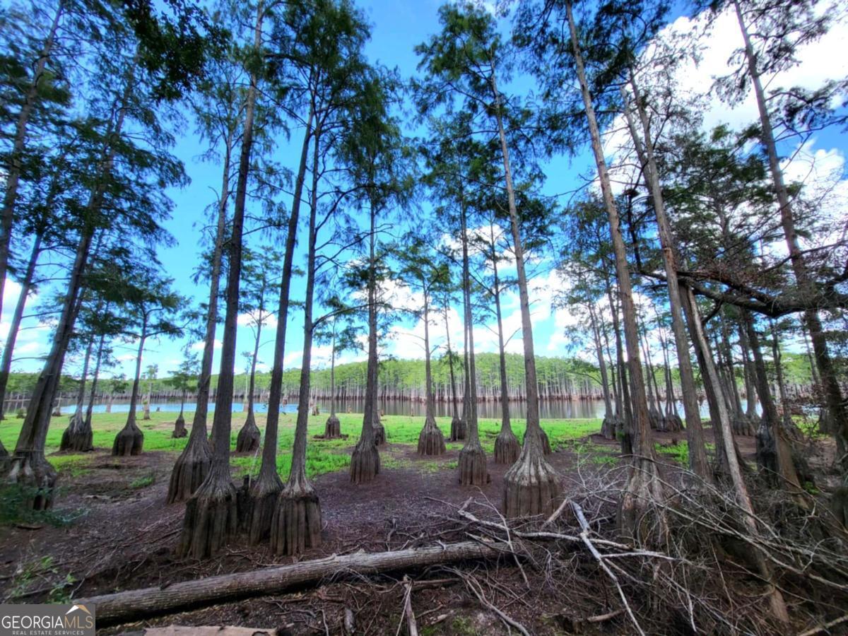 188 Brenda Road Portal GA 30450