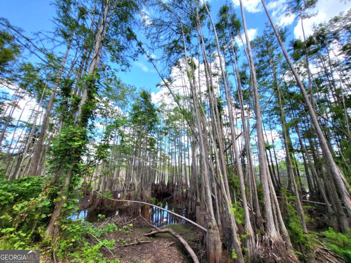 188 Brenda Road Portal GA 30450