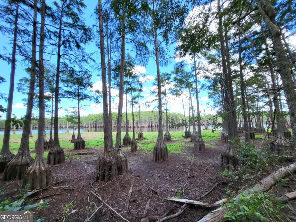 188 Brenda Road Portal GA 30450