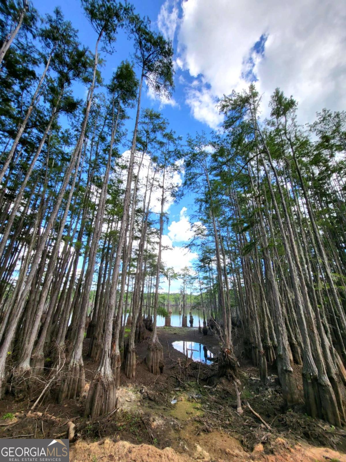 188 Brenda Road Portal GA 30450