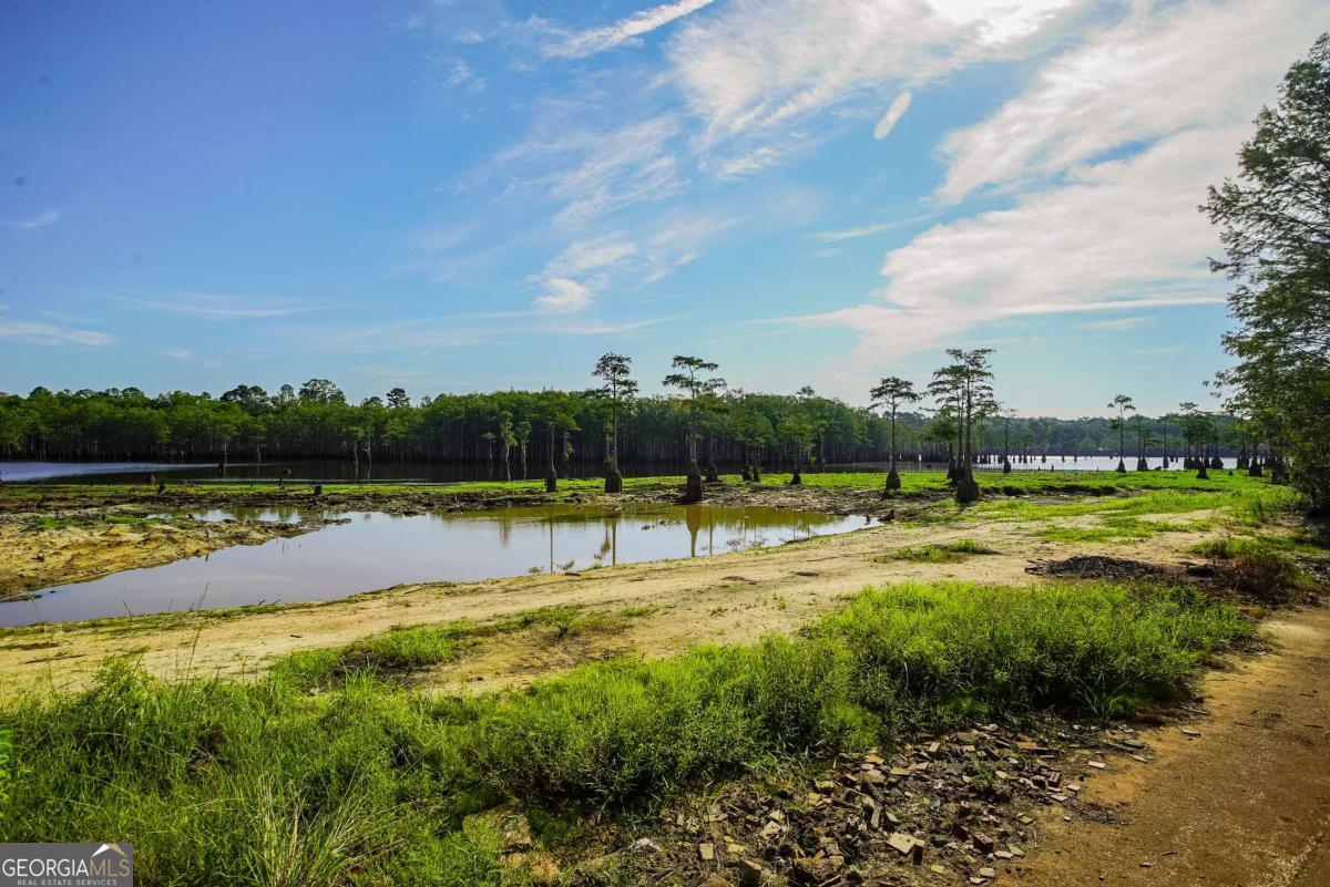 188 Brenda Road Portal GA 30450