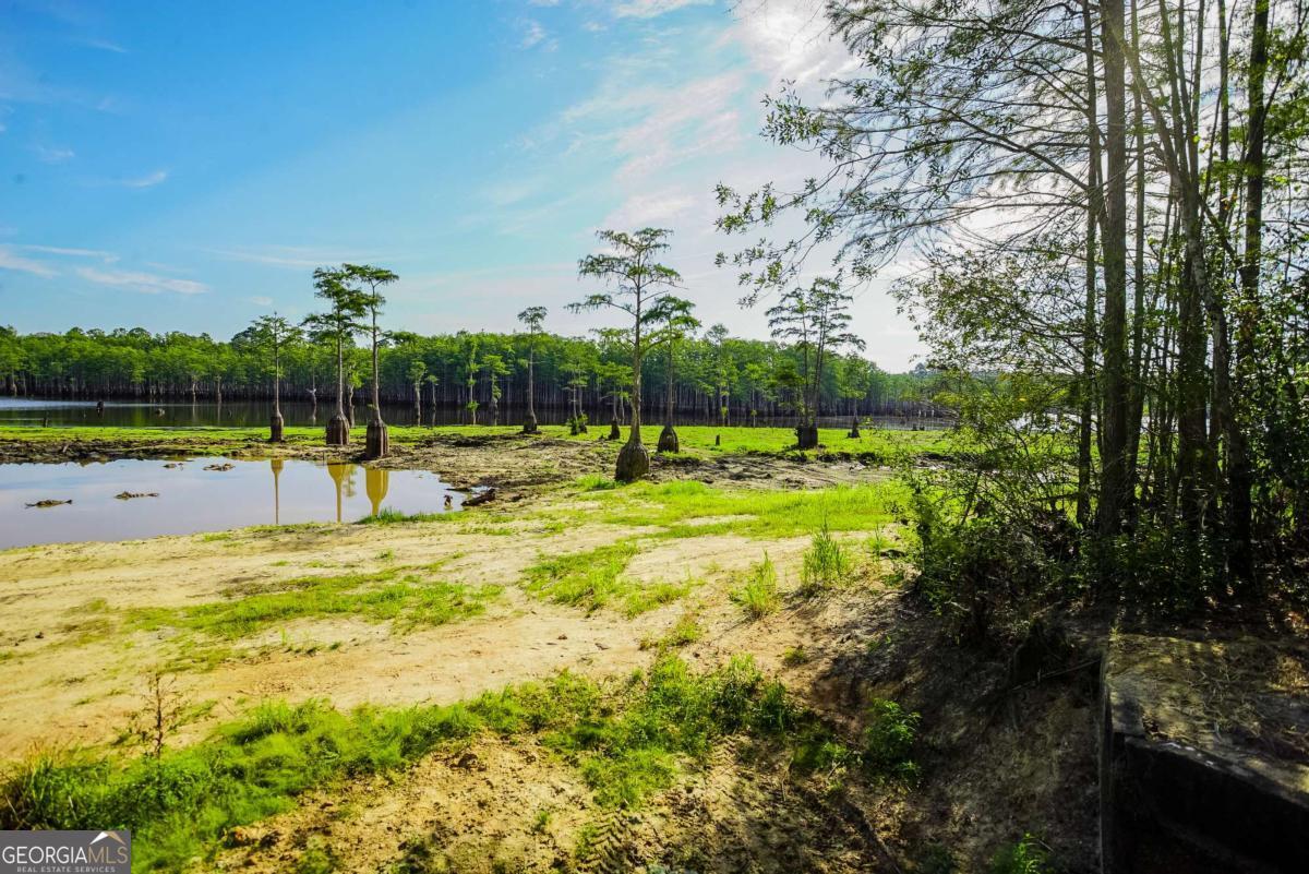 188 Brenda Road Portal GA 30450