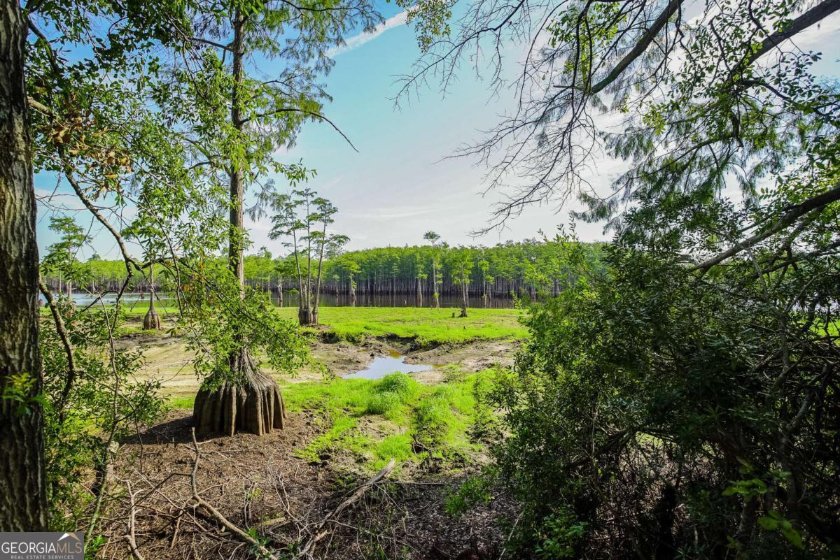188 Brenda Road Portal GA 30450