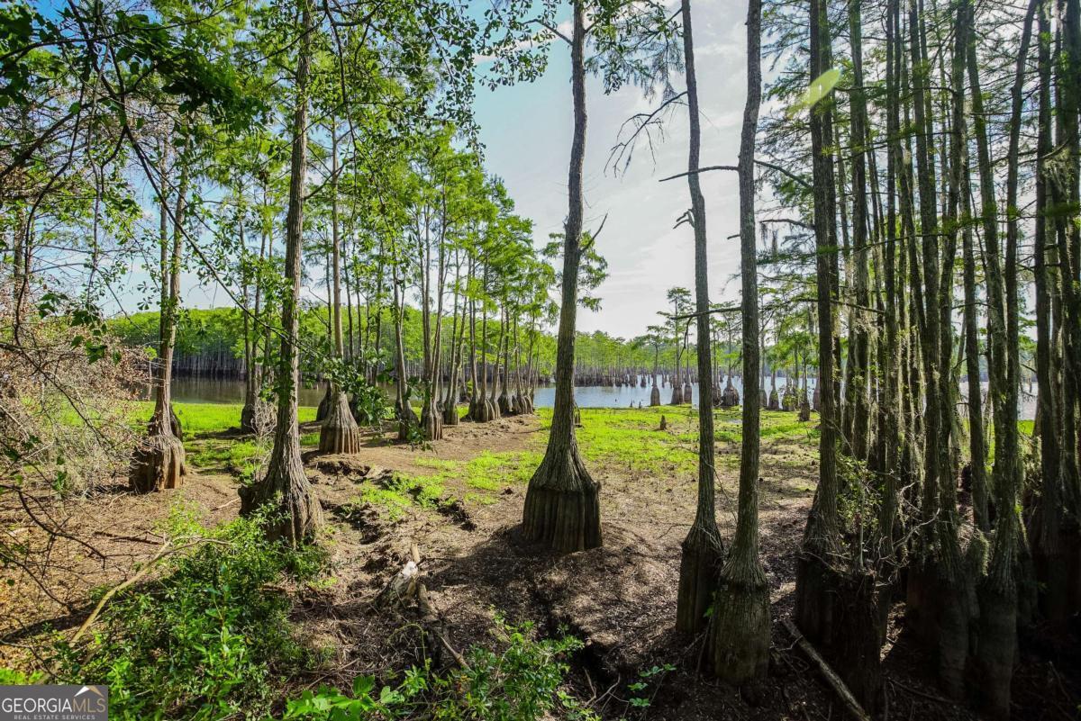 188 Brenda Road Portal GA 30450