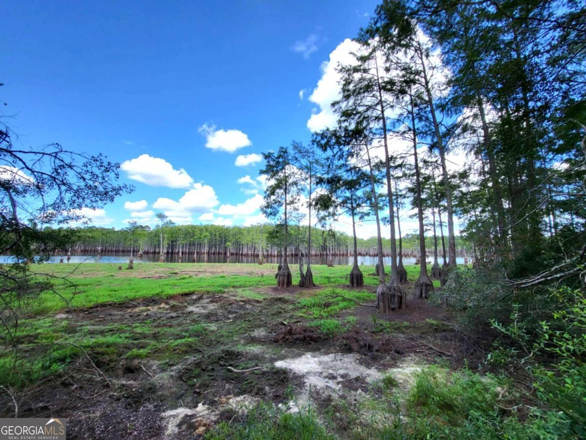 188 Brenda Road Portal GA 30450