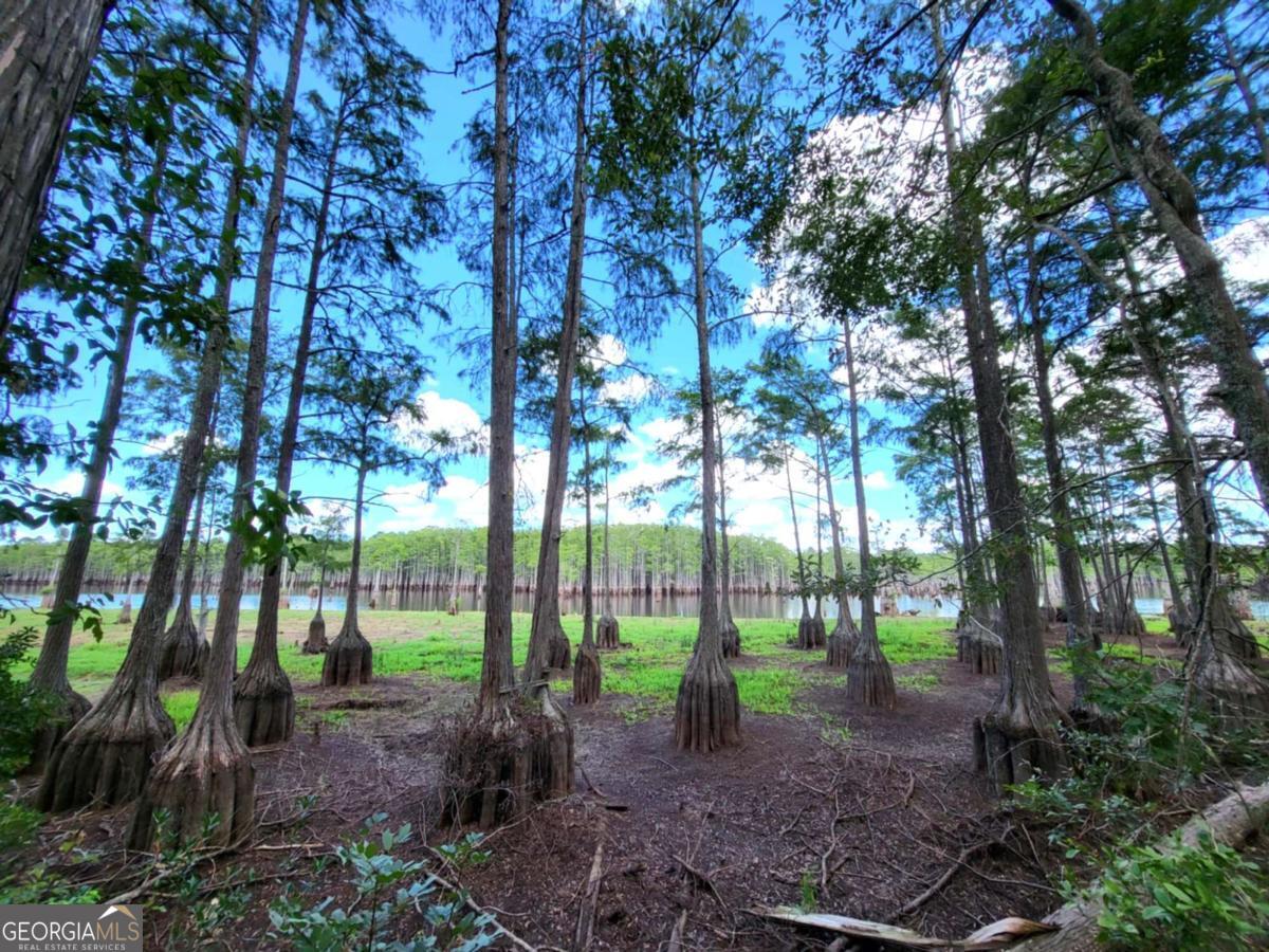 188 Brenda Road Portal GA 30450