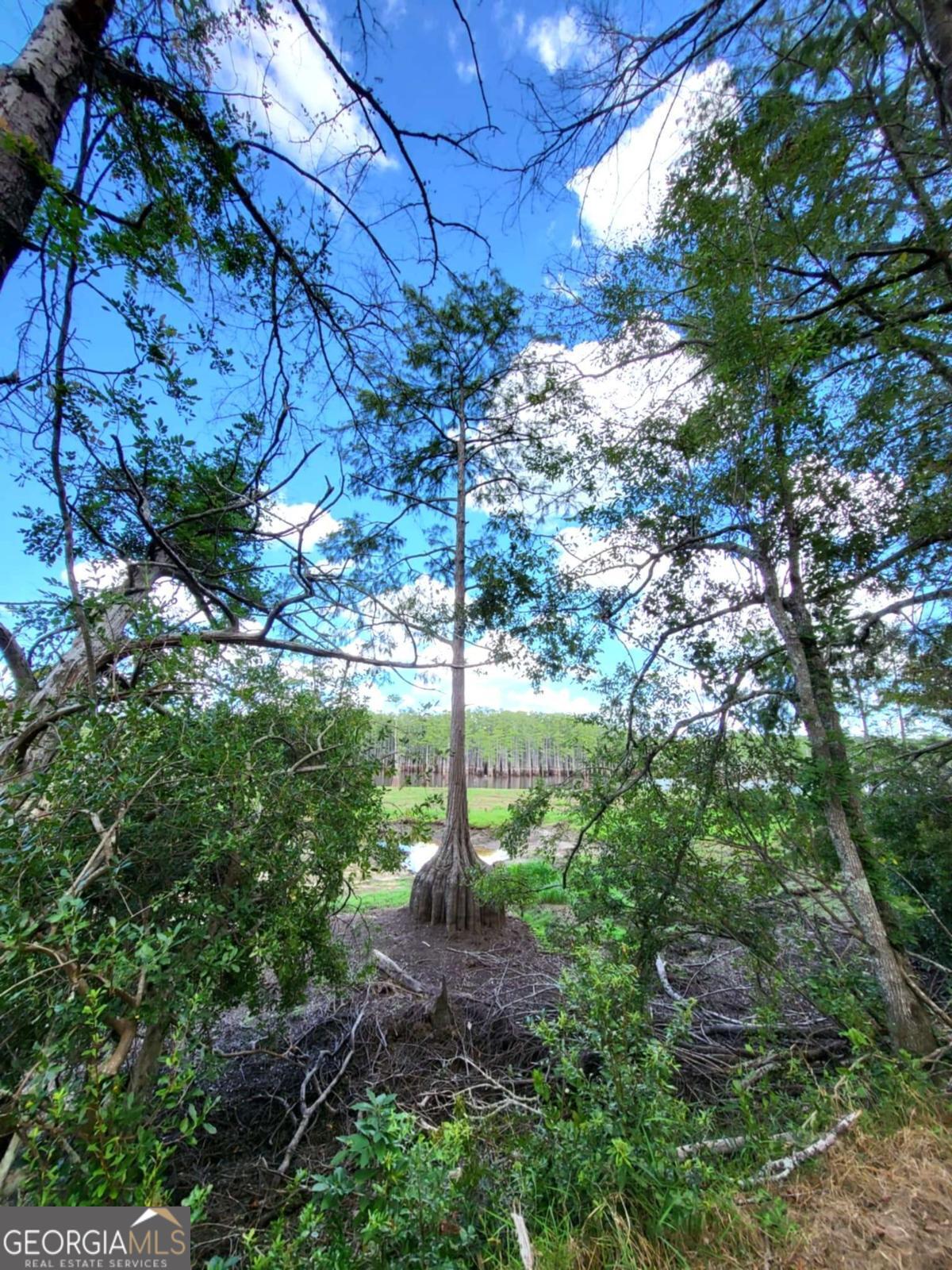 188 Brenda Road Portal GA 30450