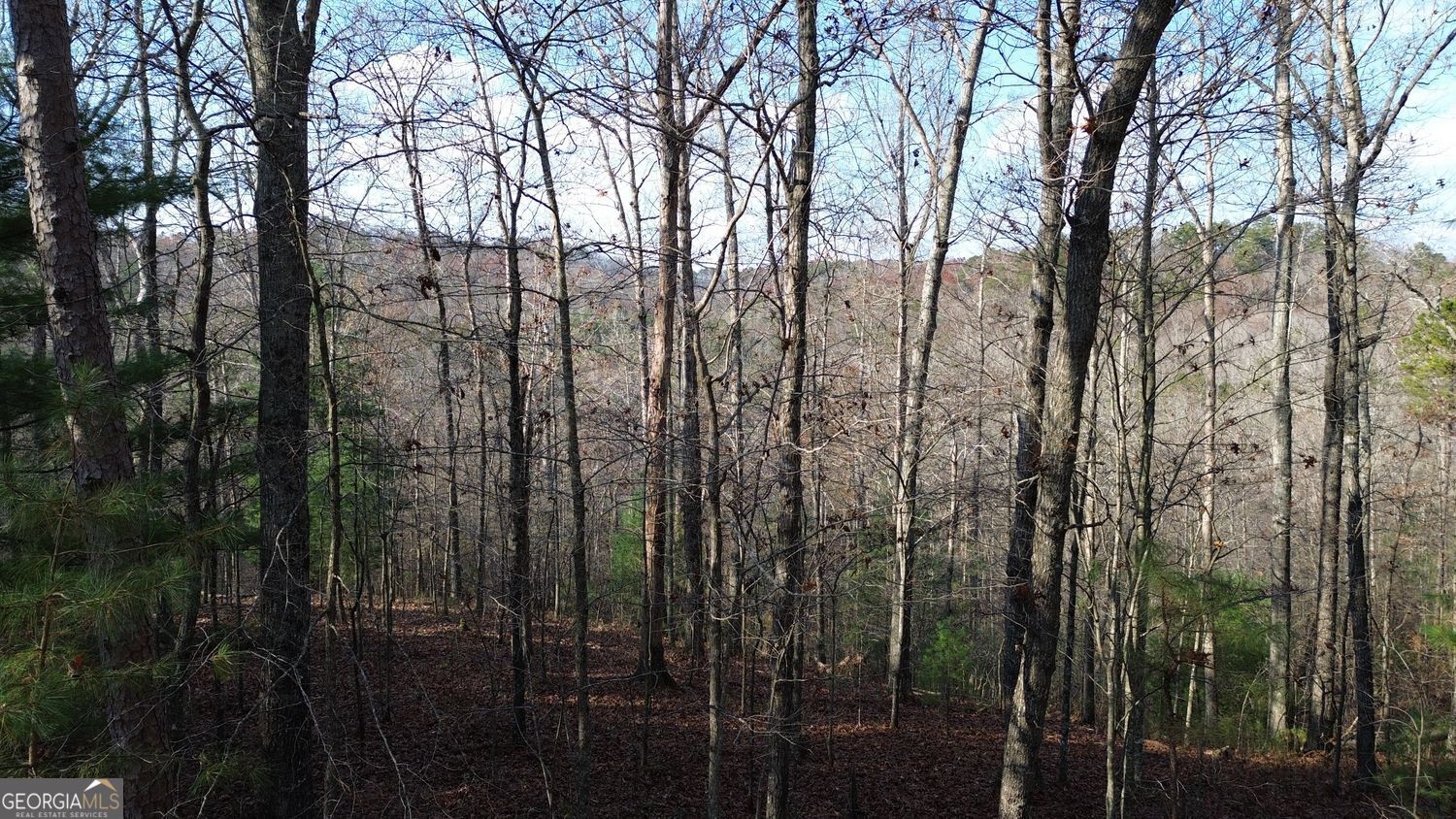 865 Bolster Lane Ranger GA 30734