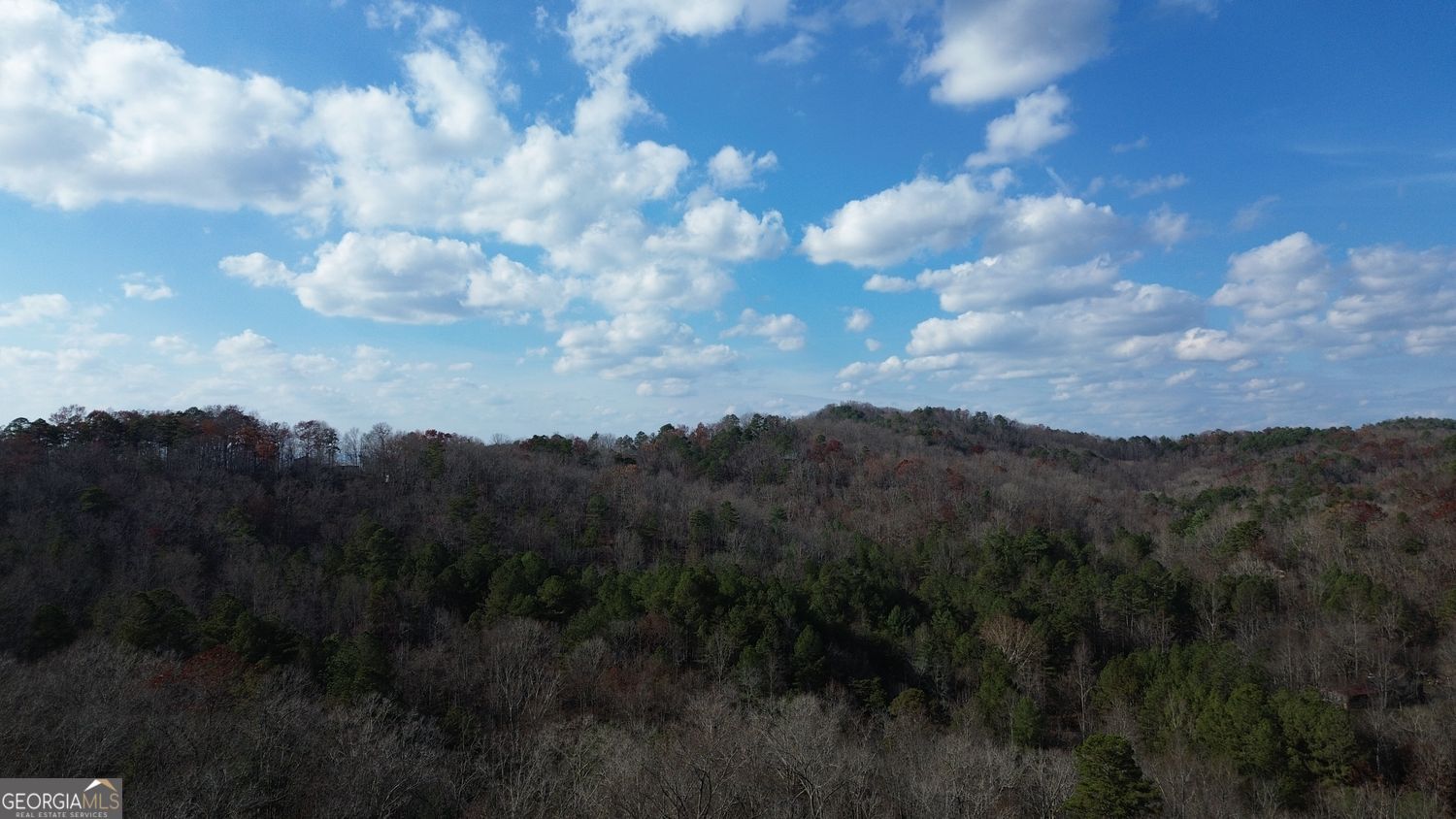 865 Bolster Lane Ranger GA 30734