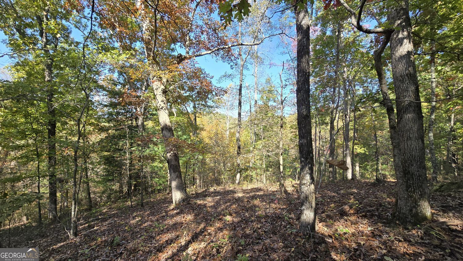 865 Bolster Lane Ranger GA 30734
