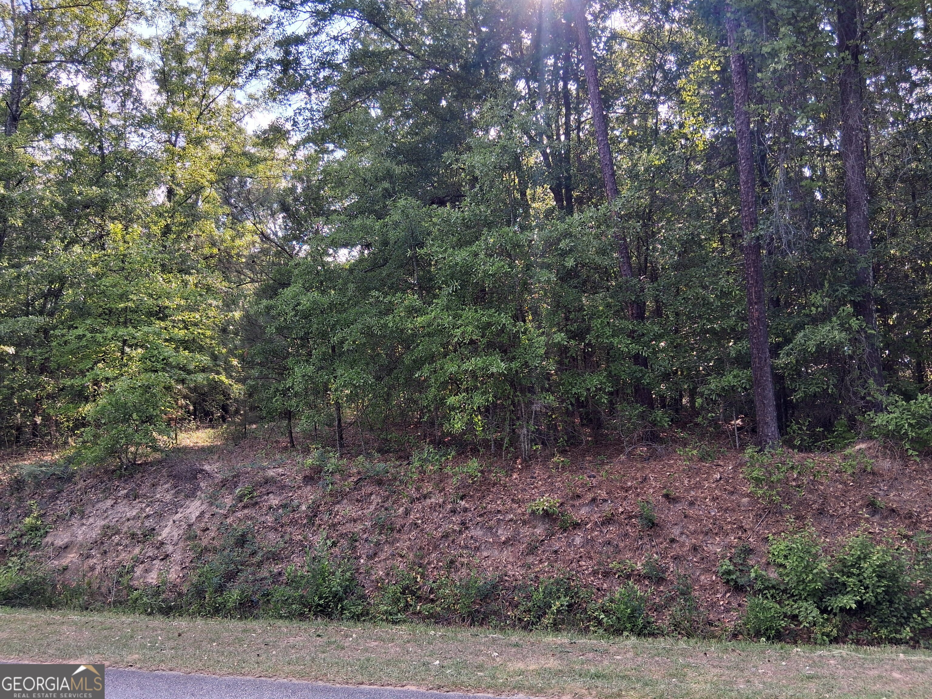 6361 Britt Road Macon GA 31216