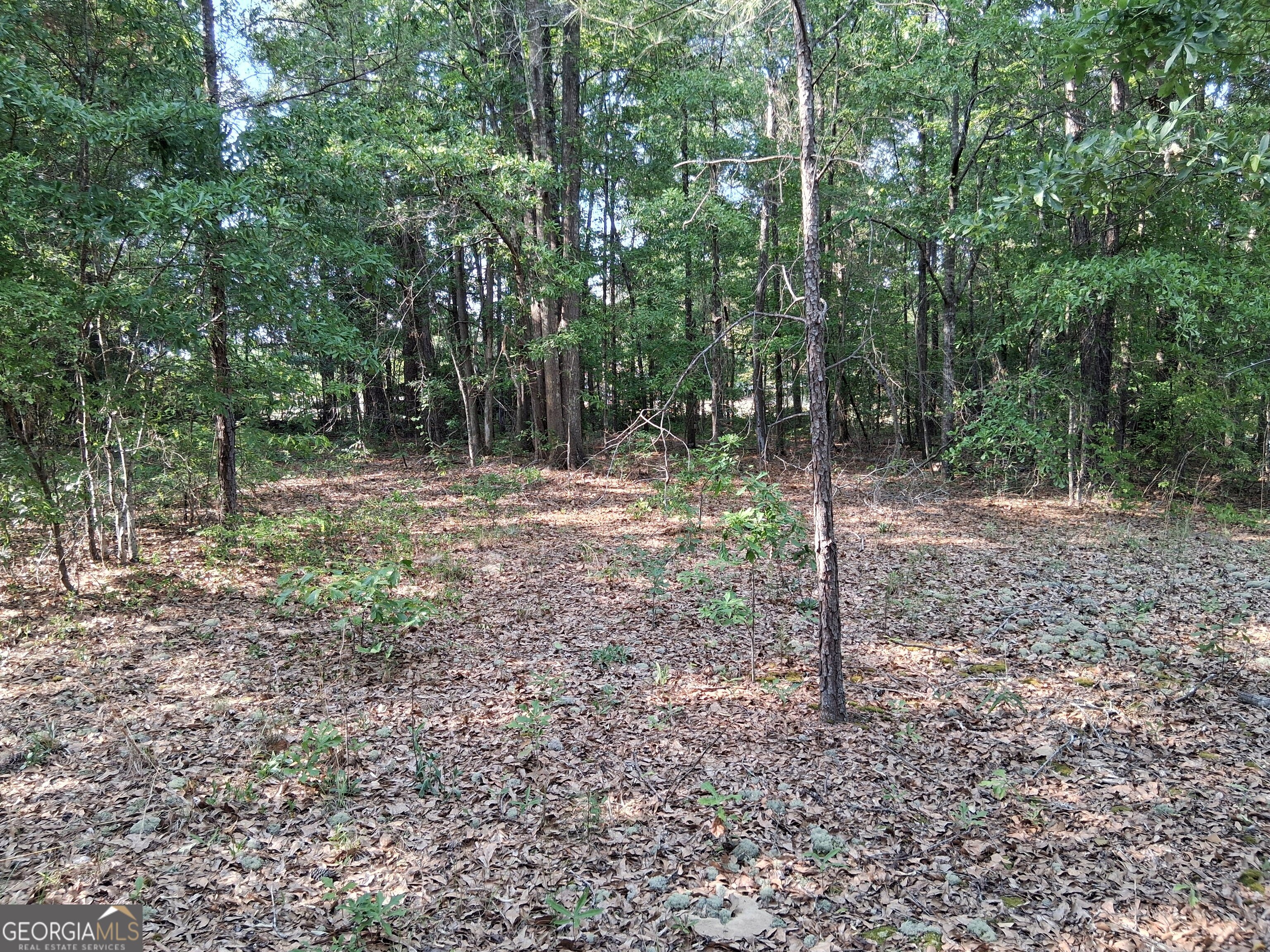 6361 Britt Road Macon GA 31216