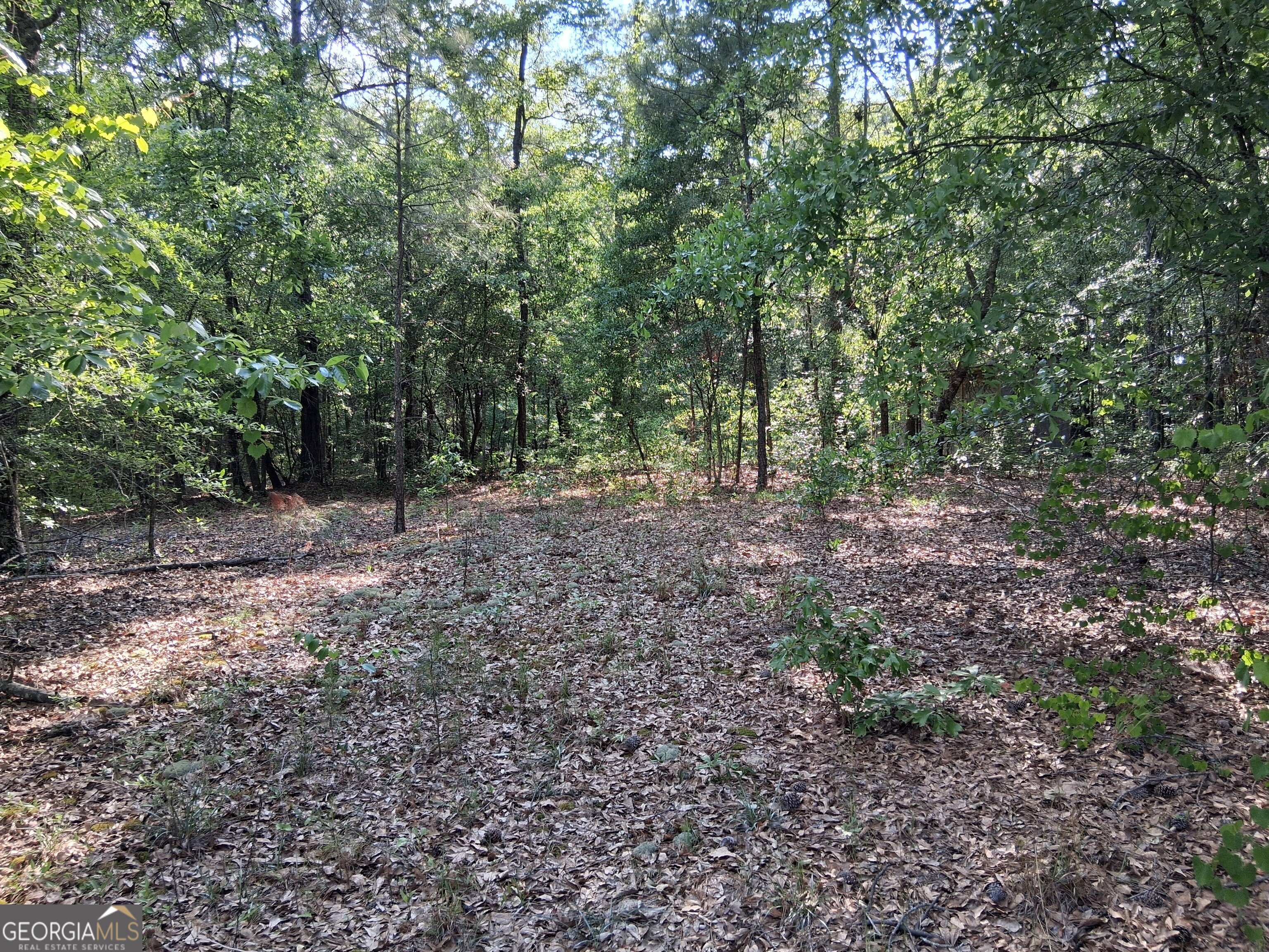 6361 Britt Road Macon GA 31216