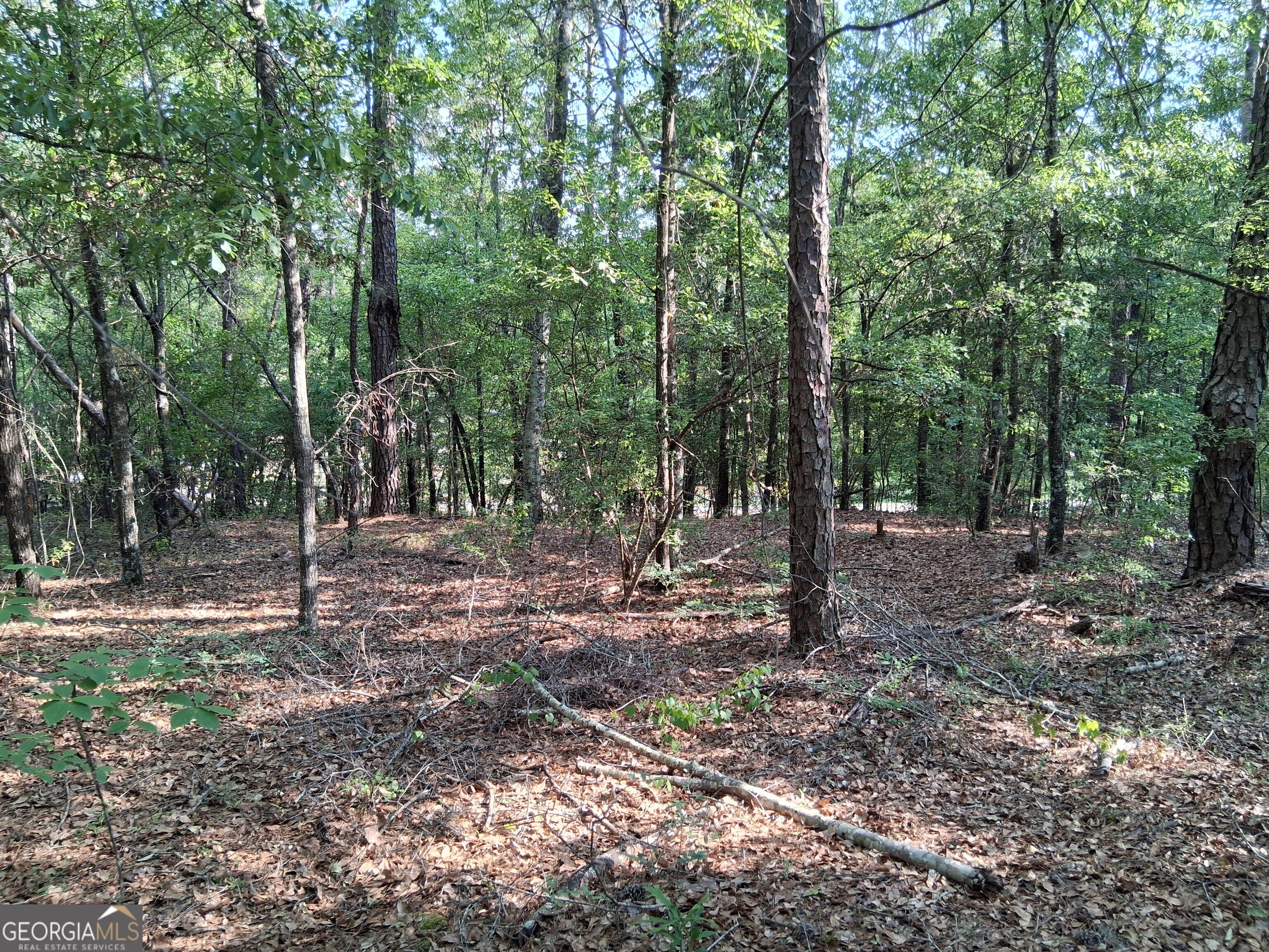 6361 Britt Road Macon GA 31216