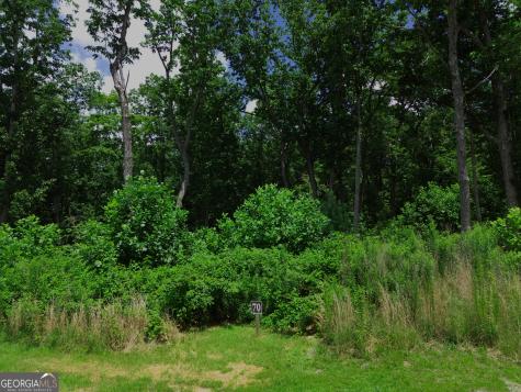 Lot 70 High Summit Drive Talking Rock GA 30175
