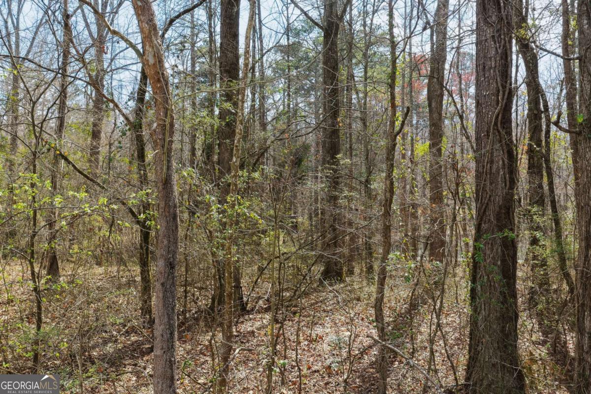 1156 Garmon Road Hiram GA 30141
