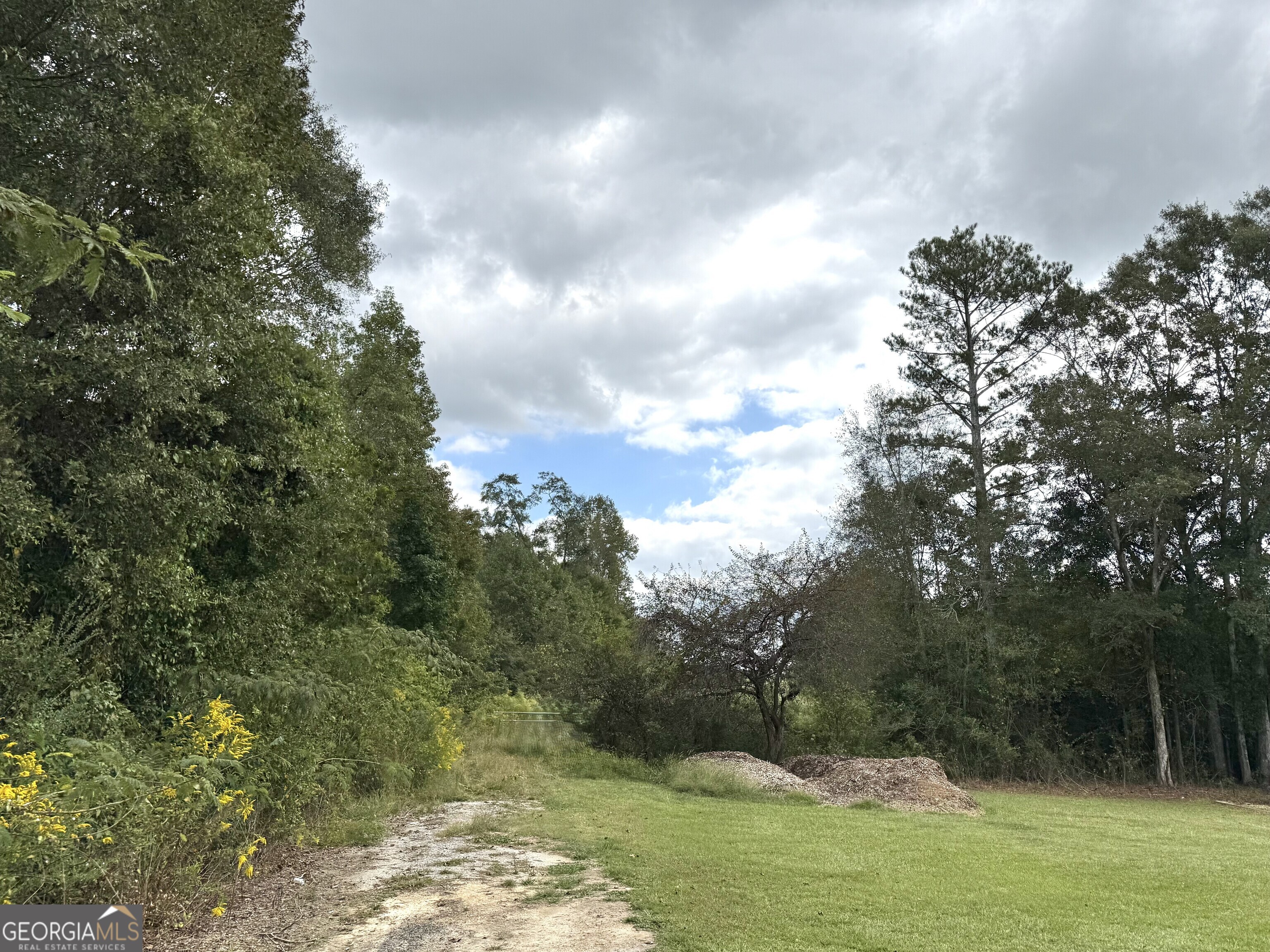 0 Magnolia Avenue Bowdon GA 30108