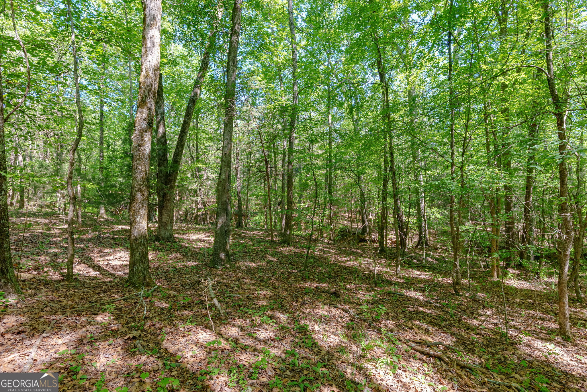 0 Cunningham Road Lexington GA 30648