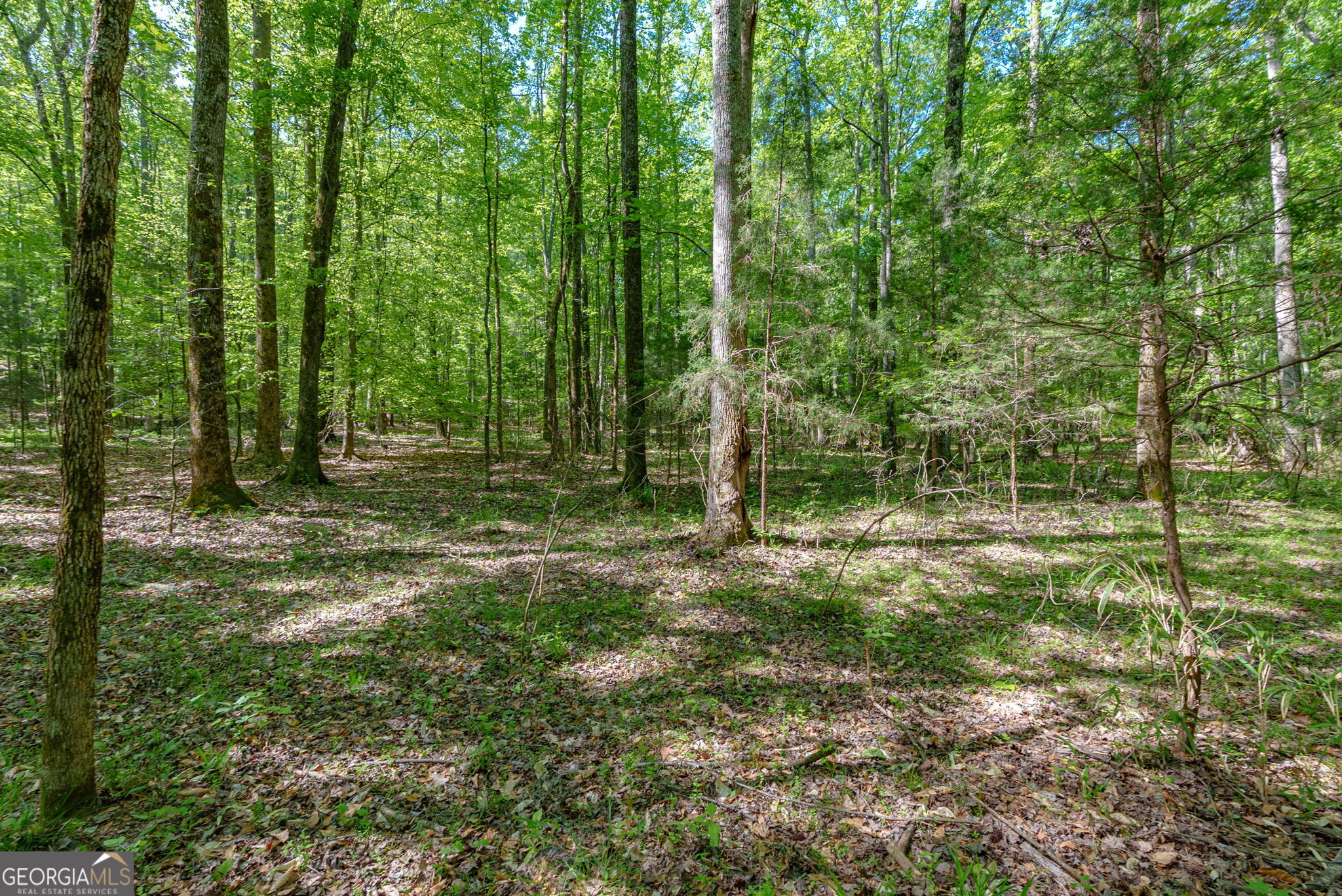 0 Cunningham Road Lexington GA 30648