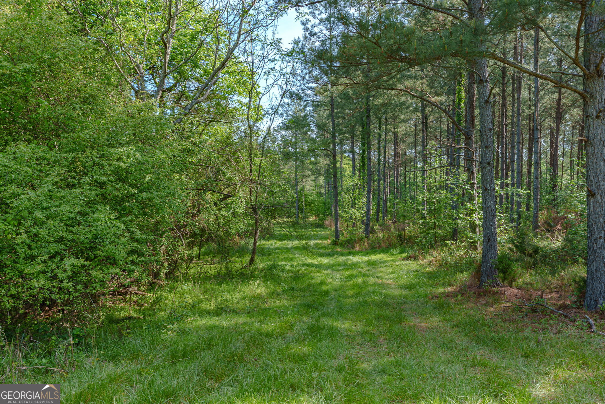 0 Cunningham Road Lexington GA 30648